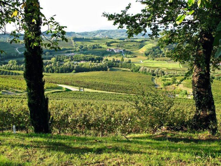 Villa Chiopris Kültér fotó